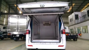 Xe tải Van SRM X30i Đông Lạnh -5 độ